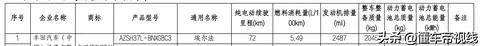 新车 | 删PHEV车型/外洋约20.3万起卖，歉田新款埃我法/威我法民图-39.jpg