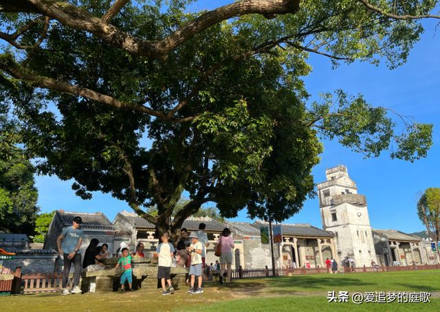 珠海春冬的花海/降羽杉/沙岸/园林/村落之好，是贫游的天花板-11.jpg