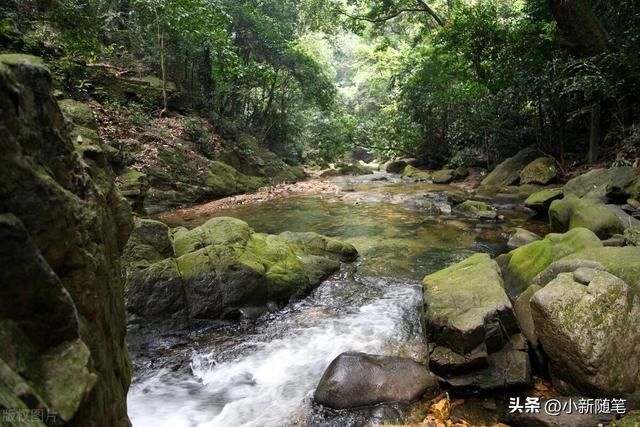 肇庆仍是太片面了，山、湖、江、溪、瀑、岩、岛、乡、村包罗万象-6.jpg