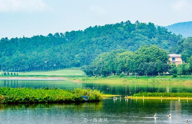 高超-佛山的绿色明珠，死态好，风光好，挨卡攻略筹办好了-20.jpg